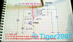 Tiger diagram.png