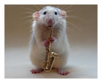 Saxophone mouse.jpg