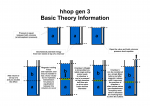 hhop gen 3 basic theory info.png