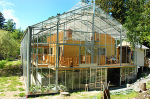 House within a greenhouse.jpg